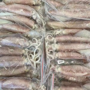 冰鮮魷魚